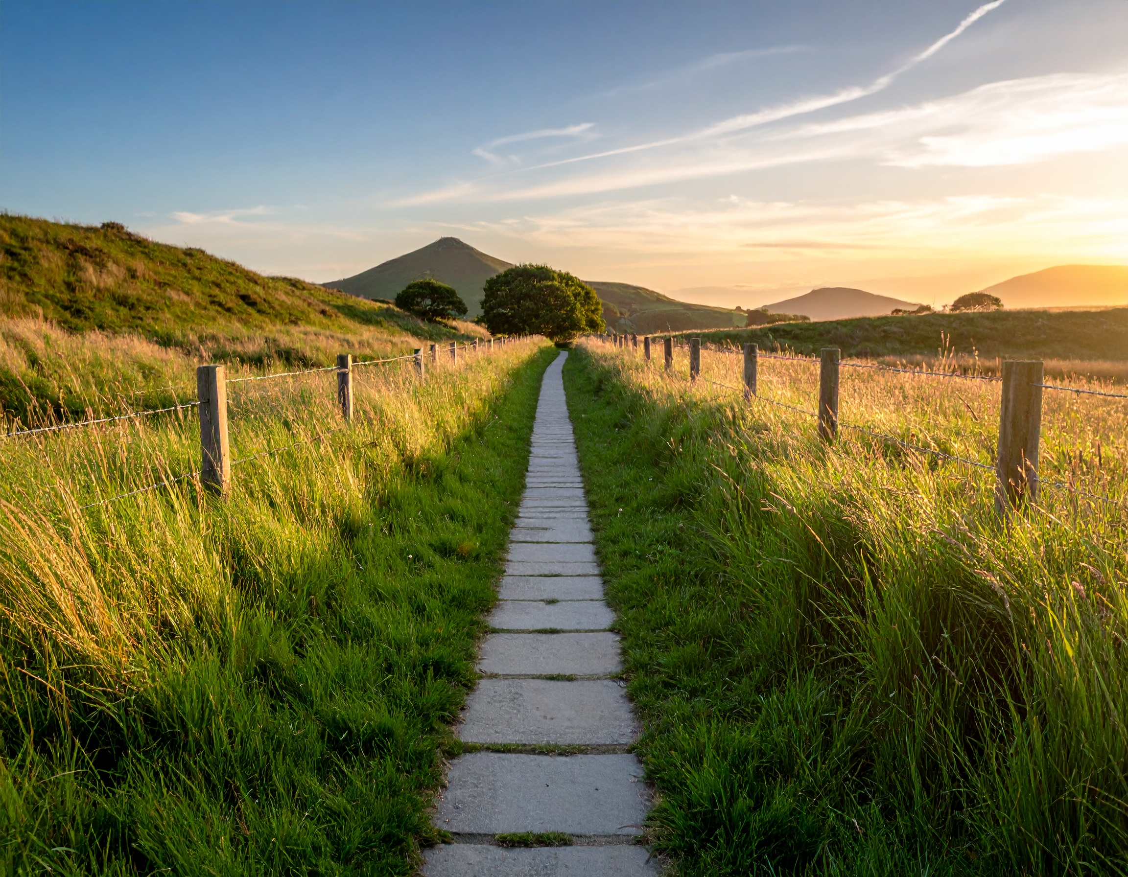 Home Firefly Photograph Calm Tranquil Pathway 745898