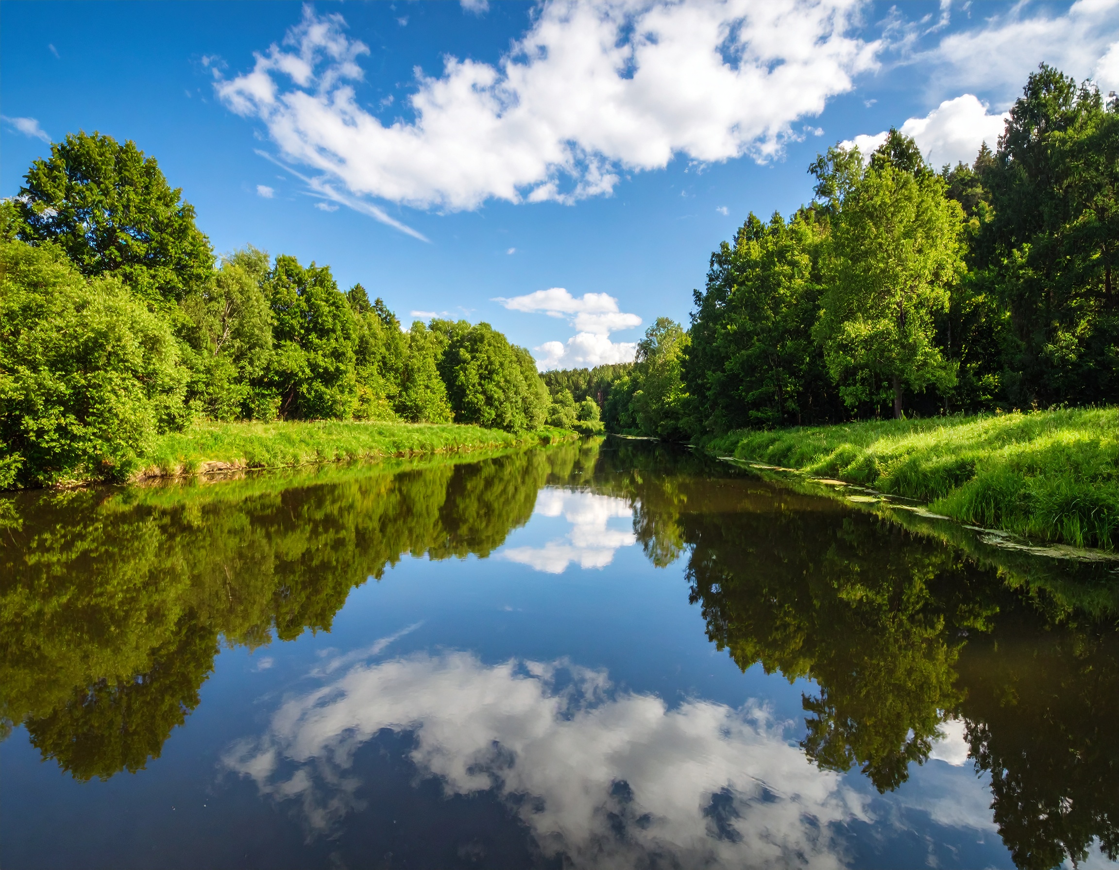 Home Firefly Scenic Photograph 302445